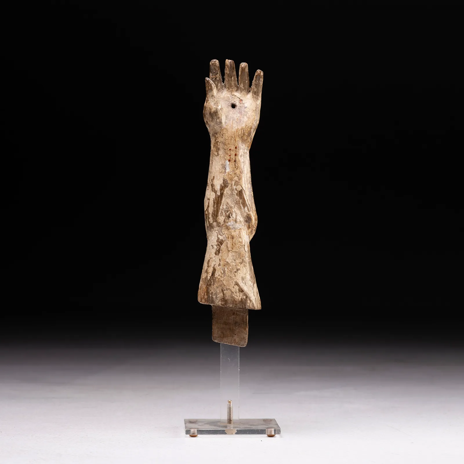 Braccio Ligneo di Cristo