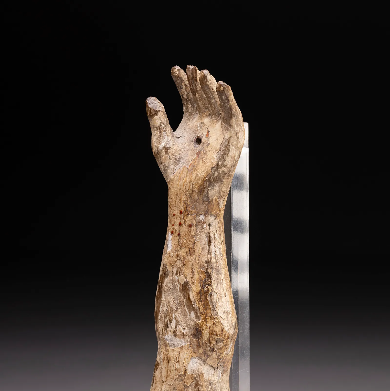 Braccio Ligneo di Cristo