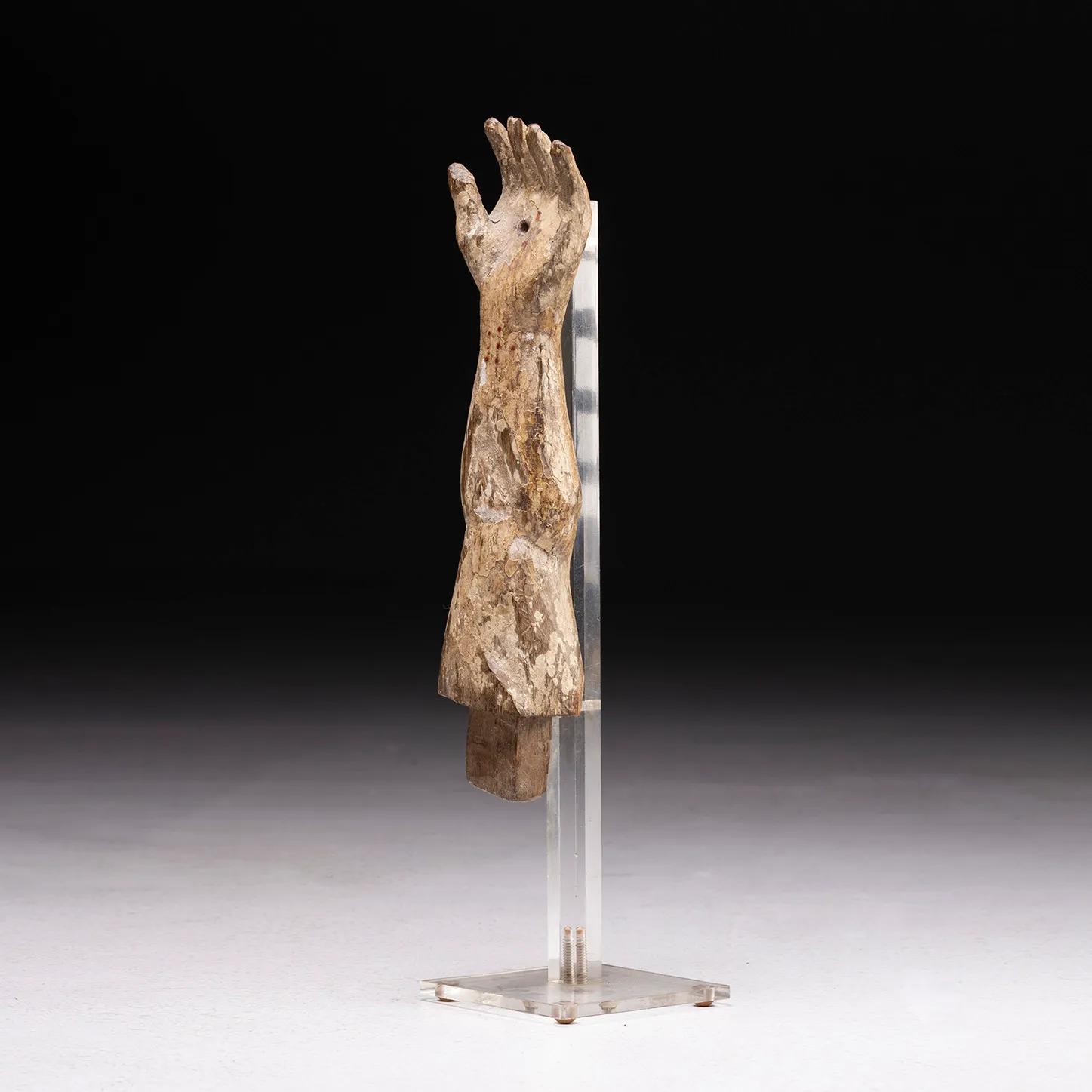 Braccio Ligneo di Cristo