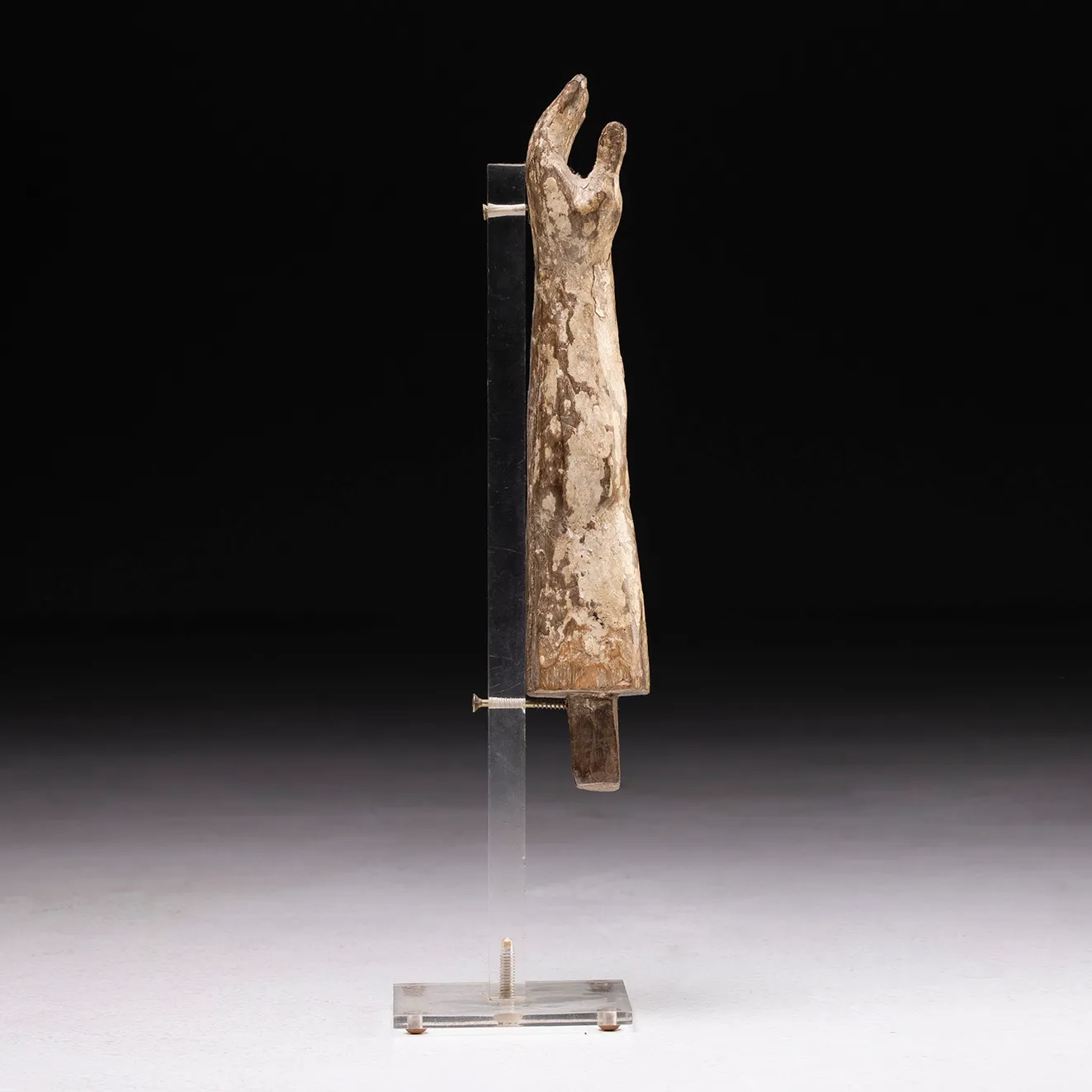 Braccio Ligneo di Cristo