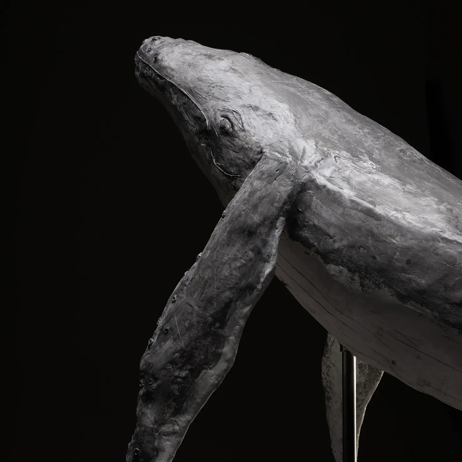 Scultura “Madre e Cucciolo” – Megattere Azzurre