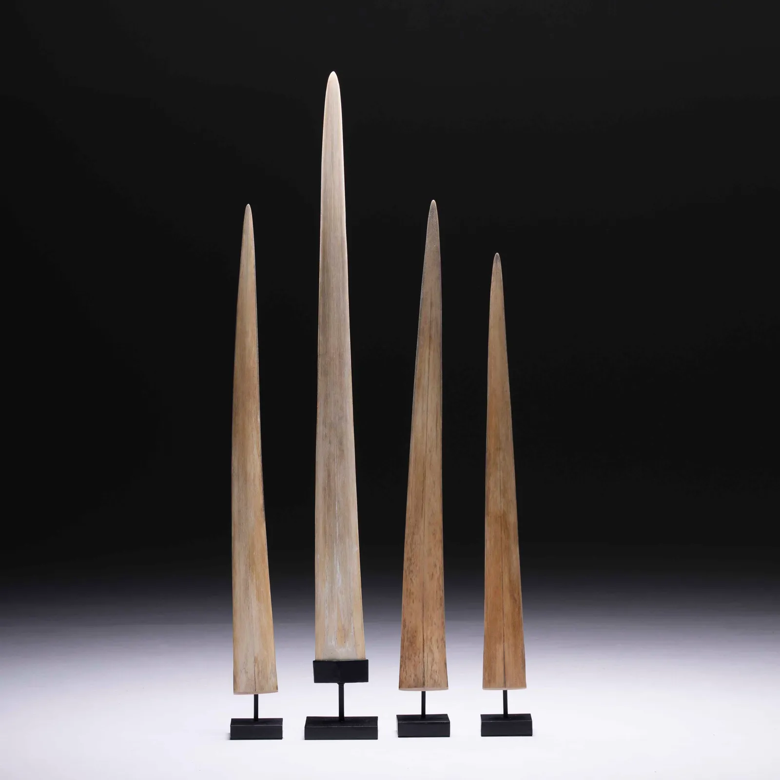 Rostro di pesce spada 75-92cm