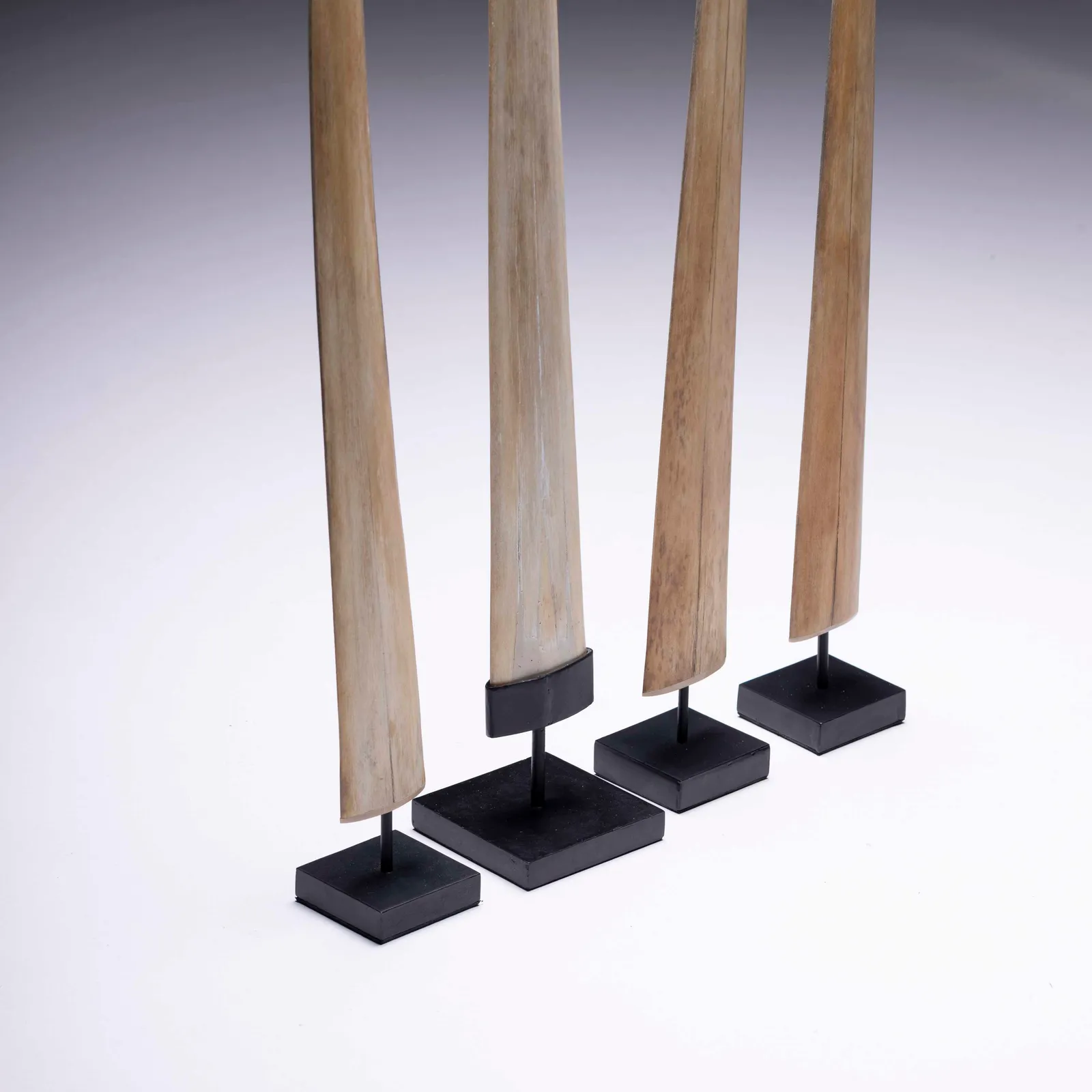 Rostro di pesce spada 75-92cm