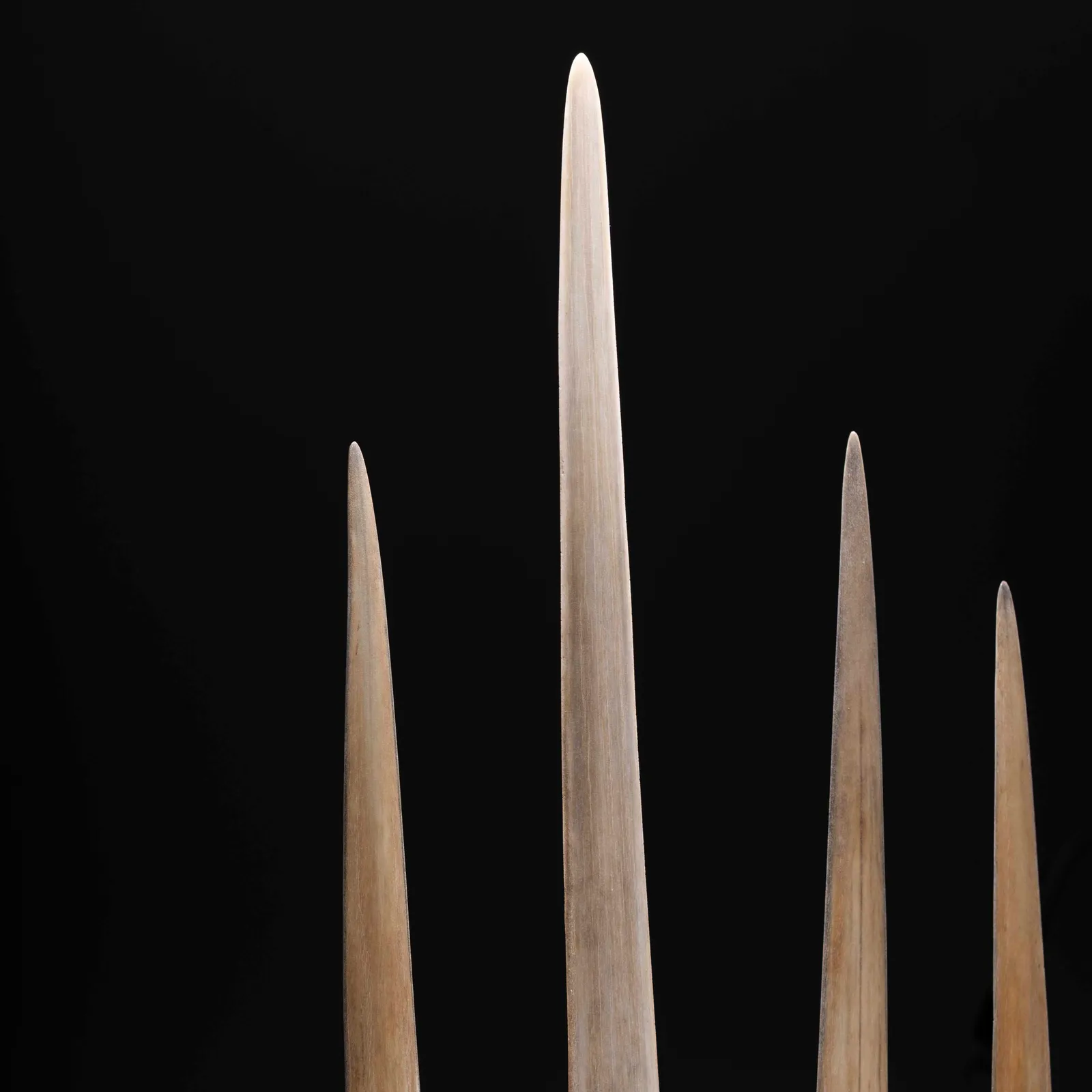 Rostro di pesce spada 75-92cm