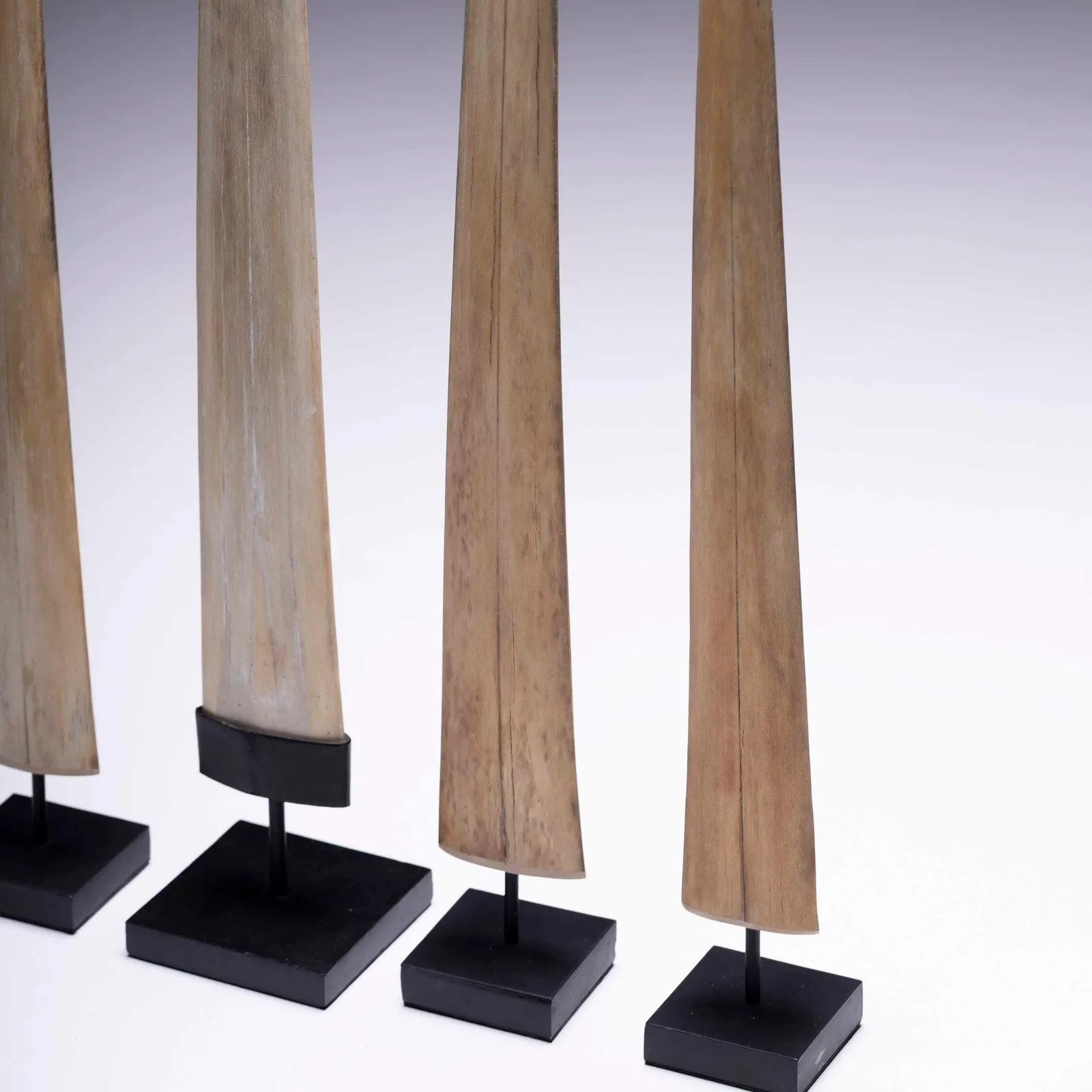 Rostro di pesce spada 75-92cm