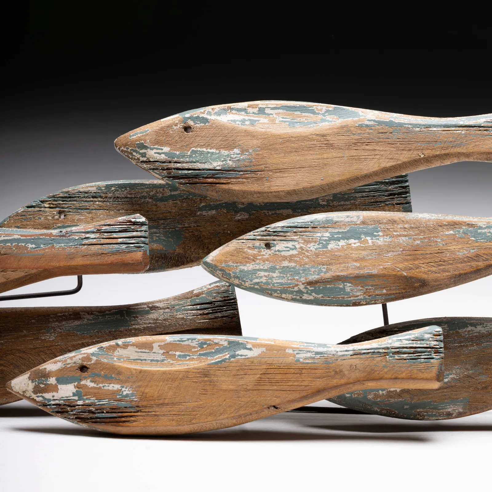 Branco di pesci da parete