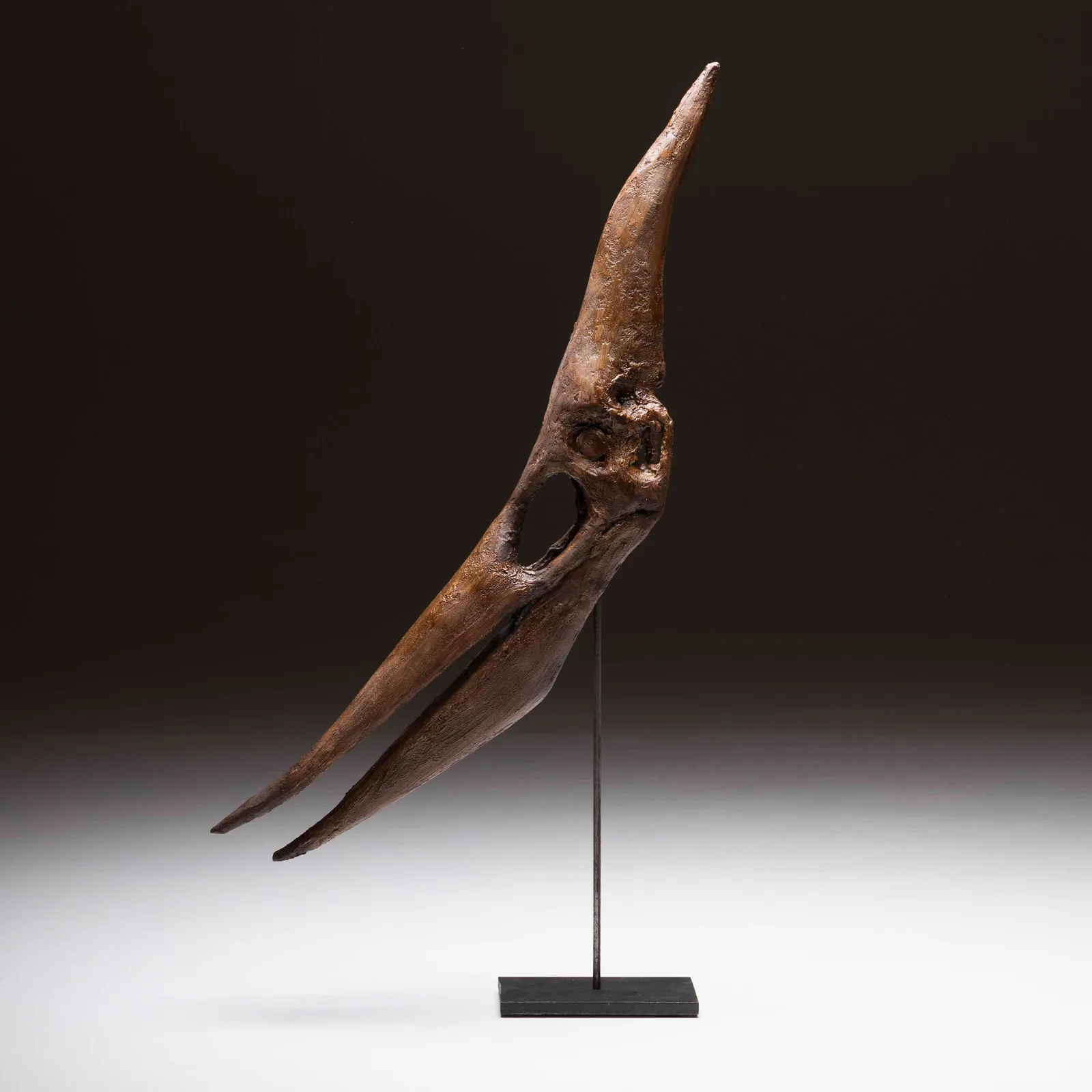 Teschio di Pteranodont in resina
