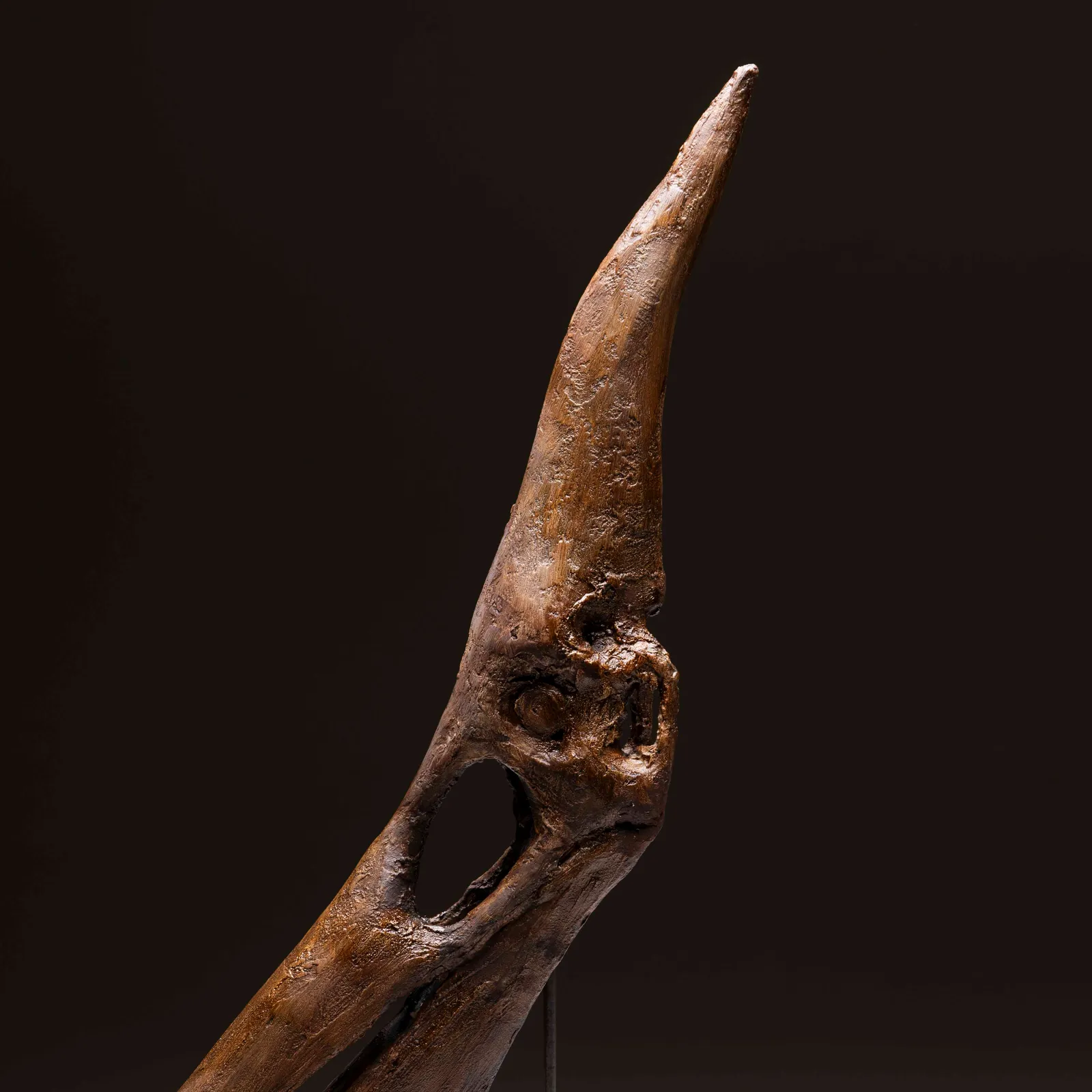 Teschio di Pteranodont in resina