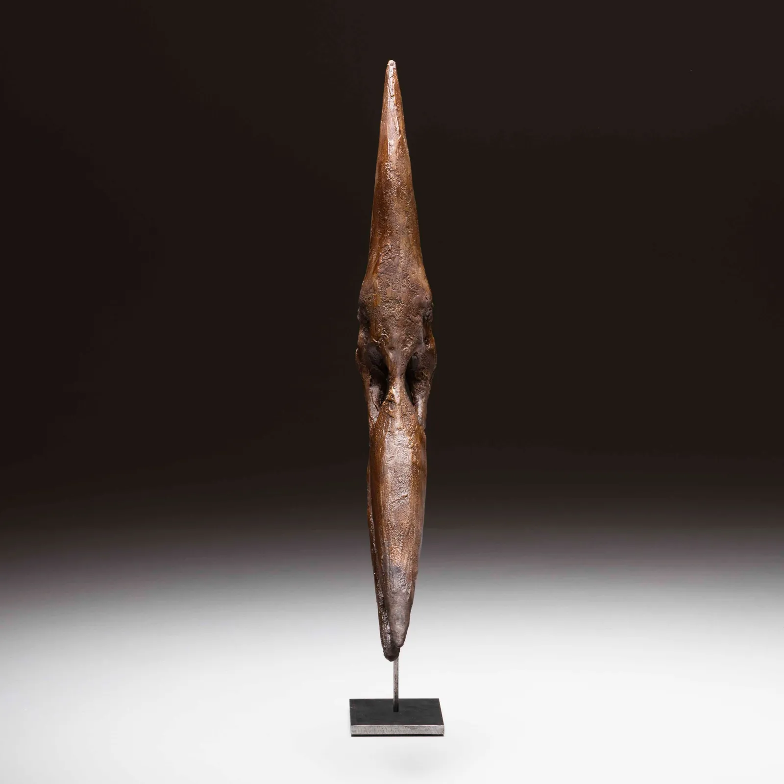 Teschio di Pteranodont in resina